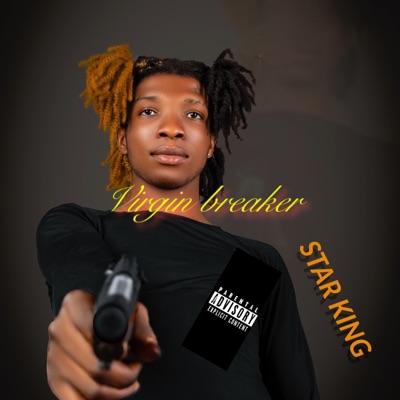 Virgin Breaker - Single