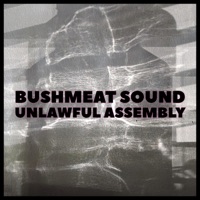Unlawful Assembly - Bushmeat Sound