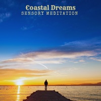 Coastal Dreams (feat. Flame Timo, Matay Music, Jasper Whisper, Nina Nalo, Alma Lin & Randy Divine) - Single - Sensory Meditation