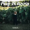 Play Di Roots