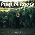 Play Di Roots