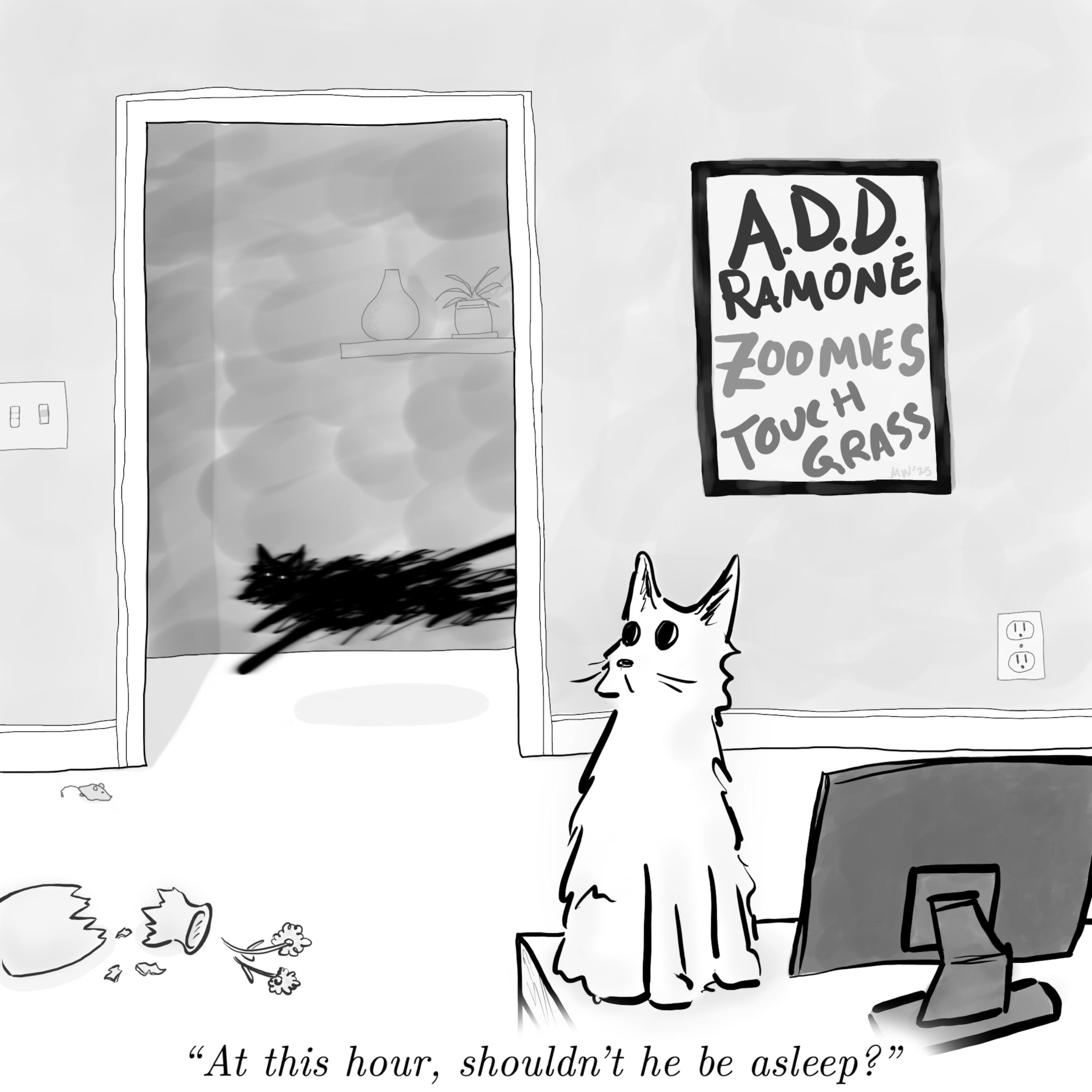 Zoomies/Touch Grass - Single