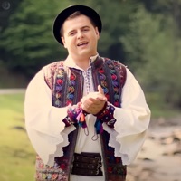 Calule, Căluțule - Single - Alexandru Pop