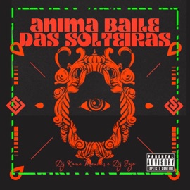 Anima Baile Das Solteiras DJ Mendes