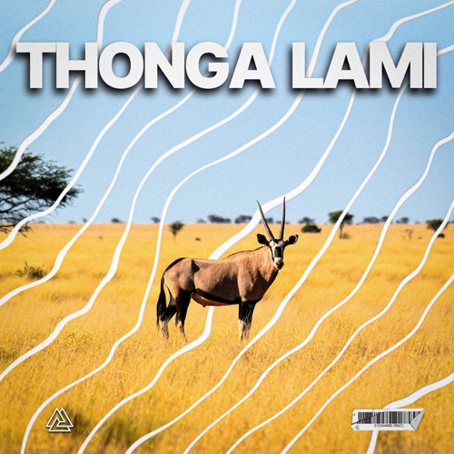 Thonga Lami (feat. Teekay) - Single