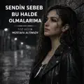 Anlamadın Ya