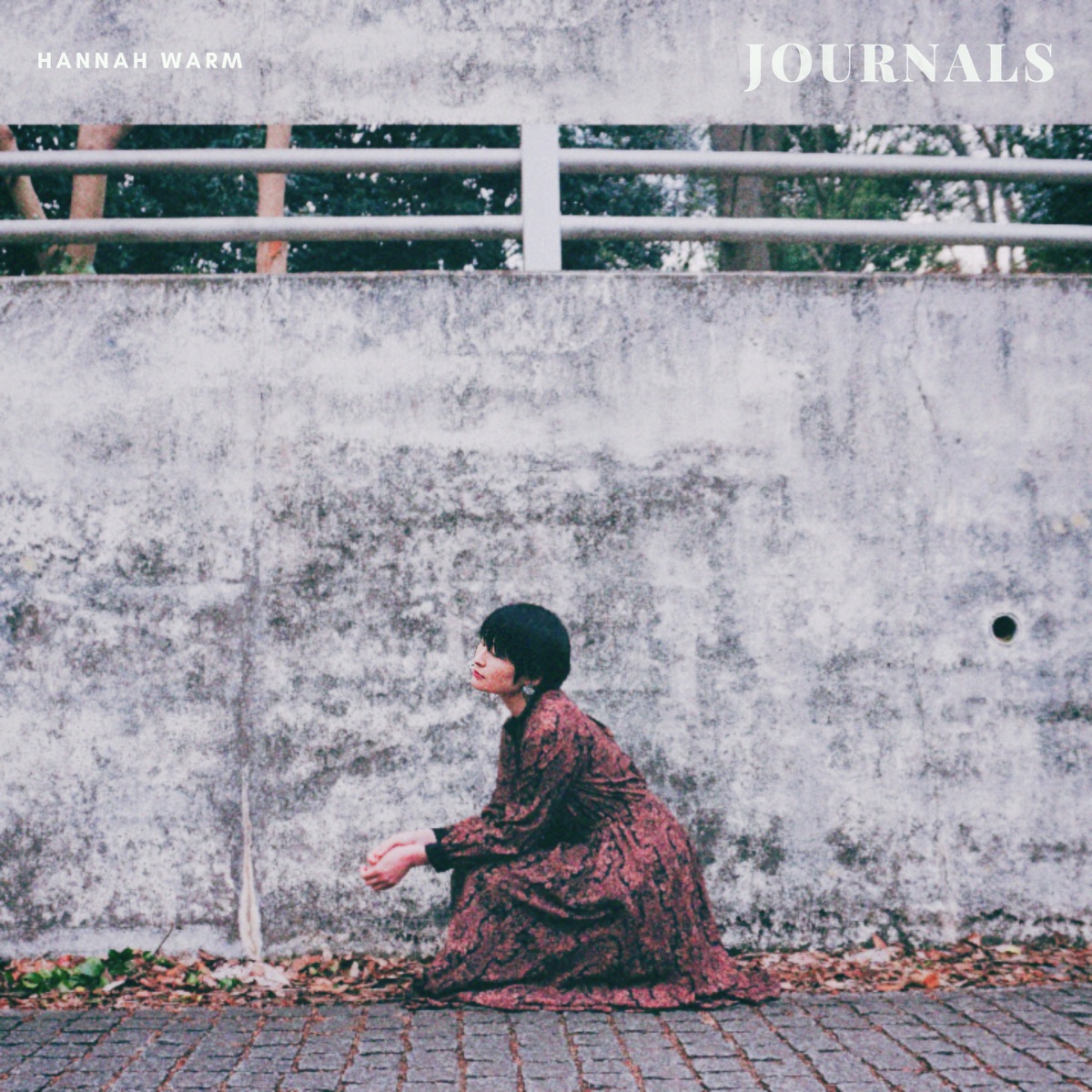 Hannah Warm - JOURNALS (2026) [iTunes Plus AAC M4A]-新房子