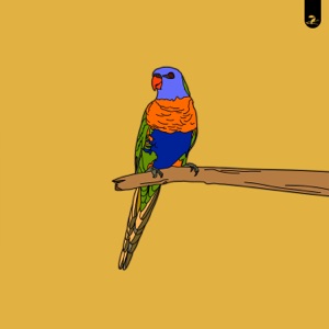 Lorikeet