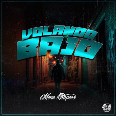 Volando Bajo - Single