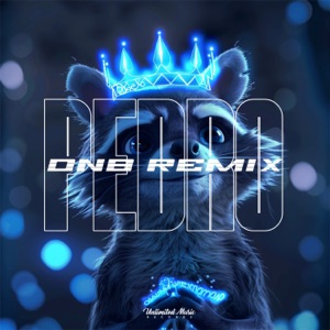 Pedro (Drum & Bass)