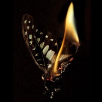 点燃 - Single - Justice_正一