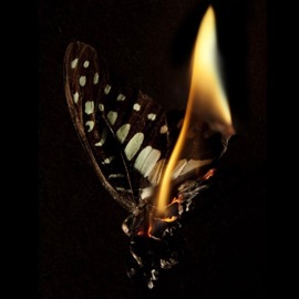 点燃 Justice_正一