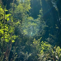 Loser - Single - CATVLYST