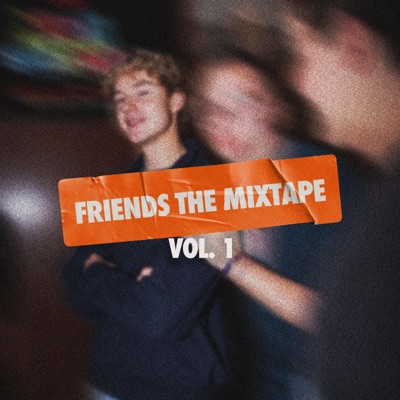 friends vol. 1