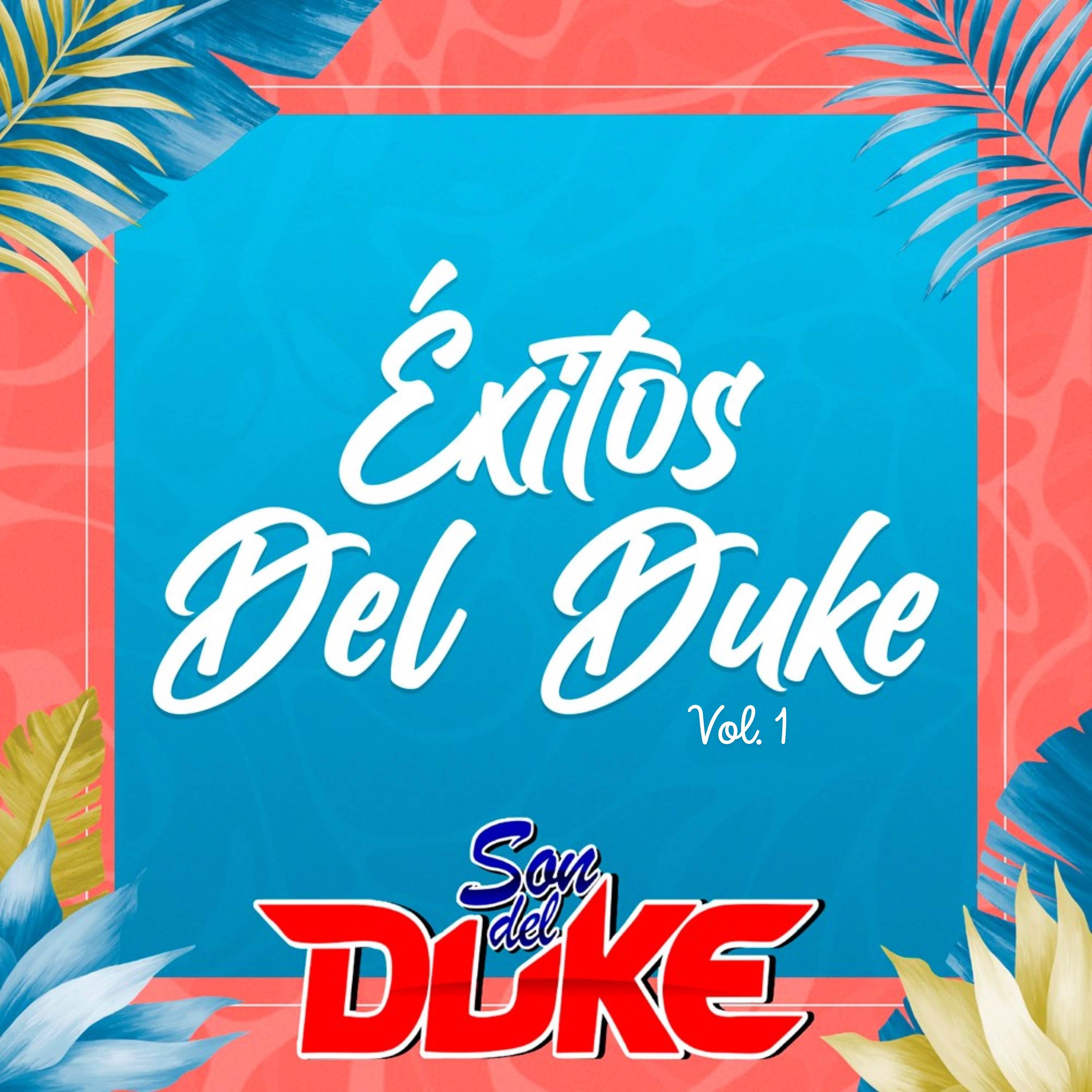 Orquesta SON DEL DUKE - CEVICHITO MIX - Son del Duke 2024
