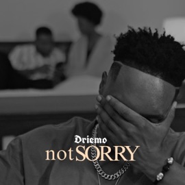NOT SORRY Driemo Mw