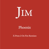 Phoenix (X-Press 2 On Fire Edit) artwork