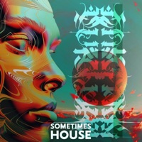 Sometimes House - Single - DutchmanDub