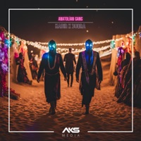 Anatolian Gang - Single - Kad1r & 3UQRA