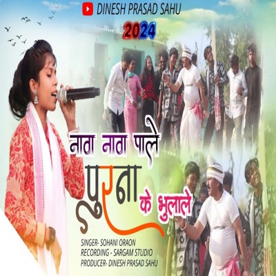 Nawa Pale Purana Ke Bhulale - Single
