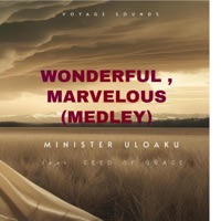 Wonderful, Marvelous (Medley) (feat. Seed Of Grace) - Single - Minister Uloaku