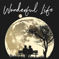 Wonderful Life (feat. Juliet Nagaeva) - Single - Music Aura