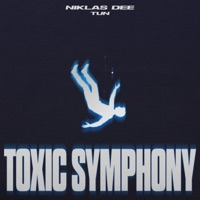 Toxic Symphony - Single - Niklas Dee & TUN