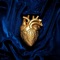 True Love (Live Session) - Saske & Carrion GodBle$$ lyrics