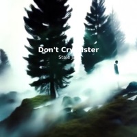 Don't Cry Sister - Single - Stale Jan