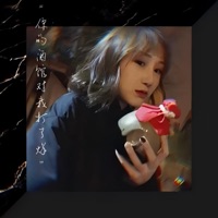 陈雪凝 - 你的酒馆对我打了烊