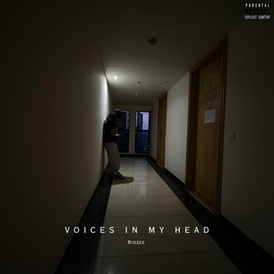 Voices in my Head - Single