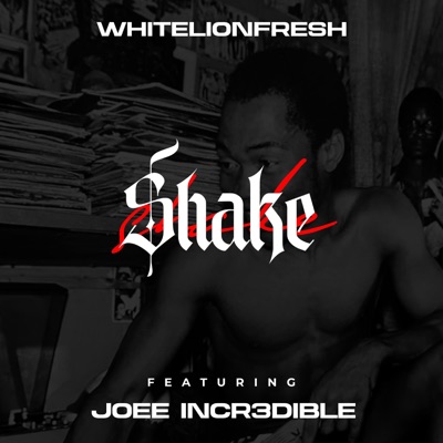 Shake (feat. joee incr3dible) - Single