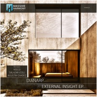 External Insight (SALAZAR (COL) Remix) - Single - Dianarp