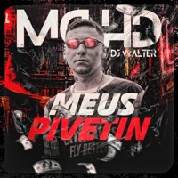 Meus Pivetin - Single - Mc HD & DJ Walter