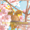 Let This Moment Shine - Yuusuke