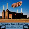 Biptunia - Primordial Soup is Good Food