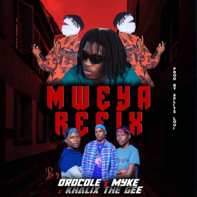 Voltz JT & Tha Bees Mweya (feat. Myke The Gee & Khalix) [Refix] - Single