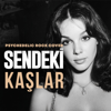 Psychedelic Rock Cover - Sendeki Kaşlar artwork