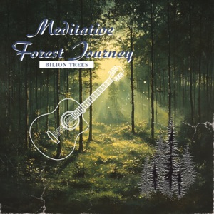 Meditative Forest Journey
