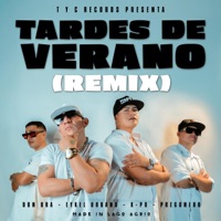 Tardes de Verano (Pregonero, Eykel Urbano, K-Po & Don Bra Remix) - Single - Traqueto Alekey