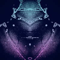 Gift Shop (Homemade Weapons Rmx) / Racture VIP - Single - Mauoq