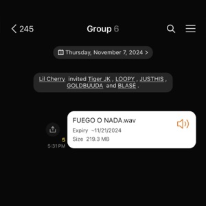 FUEGO O NADA (feat. BLASÉ, Loopy, GOLDBUUDA, JUSTHIS & Tiger JK)