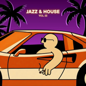 JAZZ & HOUSE, Vol. 3