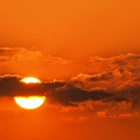 Tropical Mango - Single - Lil taskio