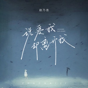 说爱我却离开我 - Single