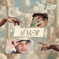 Sênior (feat. NOG) [7 Por 7] - Single - MC Guime, OGBeatzz & GvsnoBeat