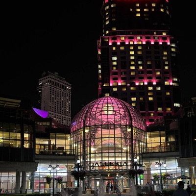 The Evening (feat. The Carnivorous Squirrels) - Single