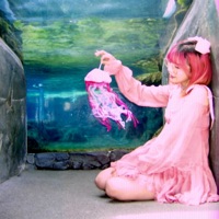 jellyfish - Single - Lilypichu