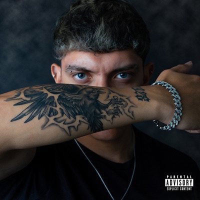 Gata Ganter - Single