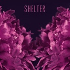 Shelter